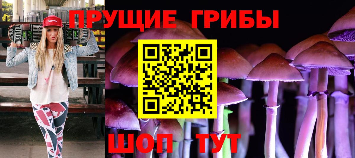 где можно купить   Вход с VPN  Заводоуковск  Псилоцибиновые грибы прущие грибы 