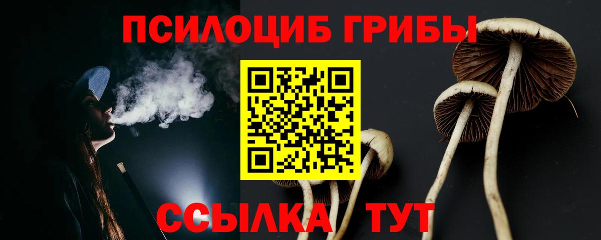Псилоцибиновые грибы Cubensis Заводоуковск